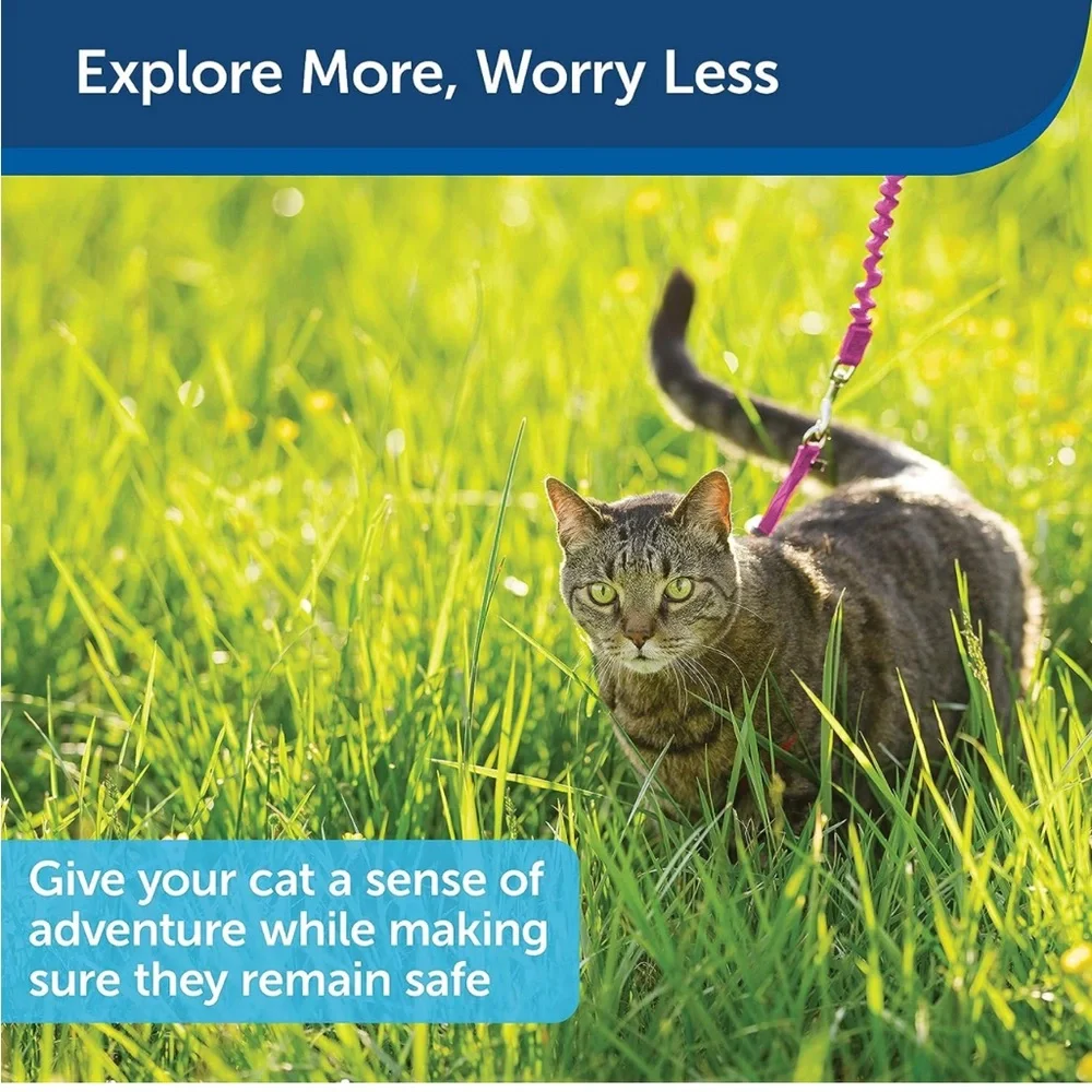[PetSafe] Cat Harness and Bungee Leash, Medium, Dusty Rose/Burgundy